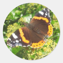 バタフライステッカー