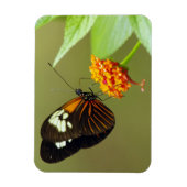 バタフライスモールマグネット マグネット (縦)