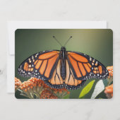 バタフライスリーアンドフリー誕生日招待状 招待状 (裏面)