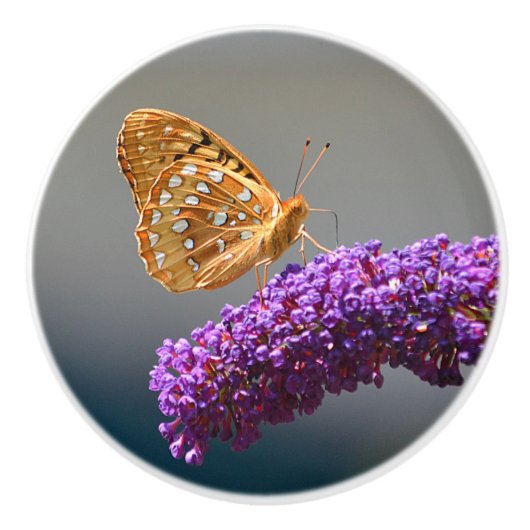 バタフライセラミックノブ セラミックノブ (正面)