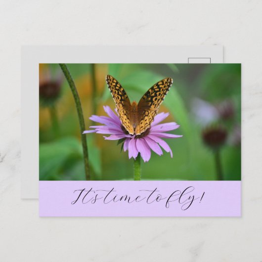 バタフライタイムで新しい人生の冒険はがき ポストカード (正面/裏面)