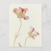 バタフライチューリップバイマーガレットアームストロング ポストカード (正面)