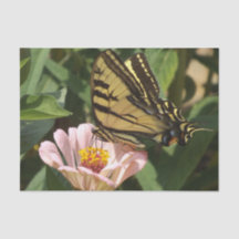 バタフライティッシュペーパー