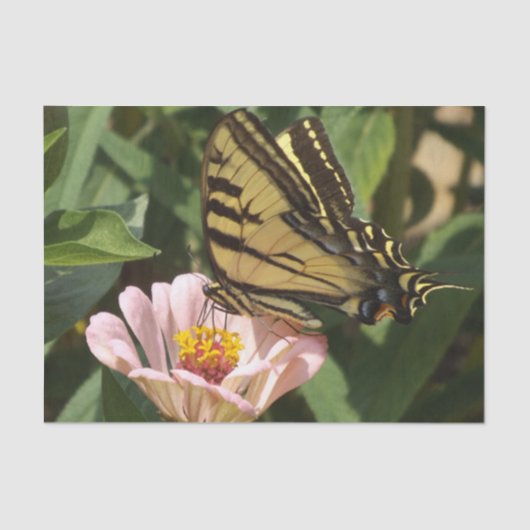 バタフライティッシュペーパー 薄葉紙 (正面)