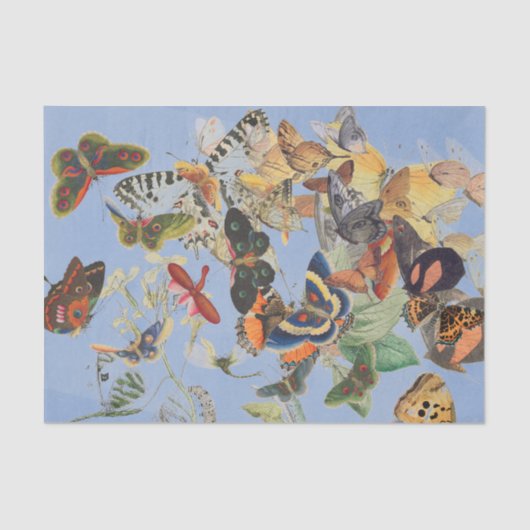 バタフライティッシュペーパー 薄葉紙 (正面)