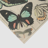 バタフライデカッペティッシュペーパー 薄葉紙 (詳細)