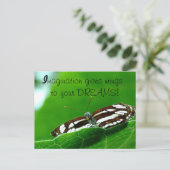 バタフライドリームポストカード ポストカード (スタンド正面)