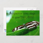 バタフライドリームポストカード ポストカード (正面/裏面)