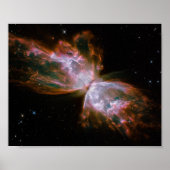 バタフライネビュラ 10x8 宇宙写真 ポスター (正面)