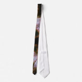 バタフライネブラNGC 6302 ネクタイ (裏面)