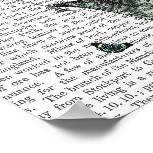 バタフライハウス ポスター (角)