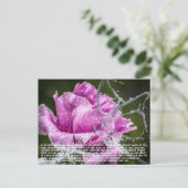 バタフライハガキ シーズンポストカード (スタンド正面)