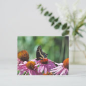 バタフライハガキ ポストカード (スタンド正面)