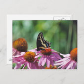 バタフライハガキ ポストカード (正面/裏面)