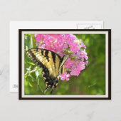 バタフライハガキ ポストカード (正面/裏面)