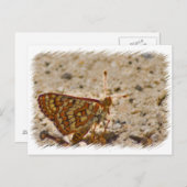 バタフライハガキ ポストカード (正面/裏面)