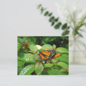 バタフライハガキ ポストカード (スタンド正面)