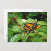 バタフライハガキ ポストカード (正面/裏面)