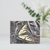 バタフライハガキ ポストカード (スタンド正面)