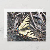 バタフライハガキ ポストカード (正面/裏面)