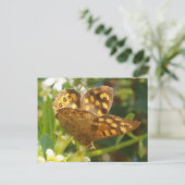 バタフライハガキ ポストカード (スタンド正面)