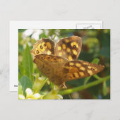 バタフライハガキ ポストカード (正面/裏面)