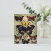 バタフライハガキ ポストカード (スタンド正面)