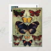 バタフライハガキ ポストカード (正面/裏面)