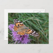バタフライハガキ ポストカード (正面/裏面)