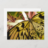 バタフライハガキ ポストカード (正面/裏面)