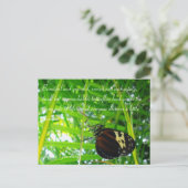 バタフライハガキ/引用文 ポストカード (スタンド正面)