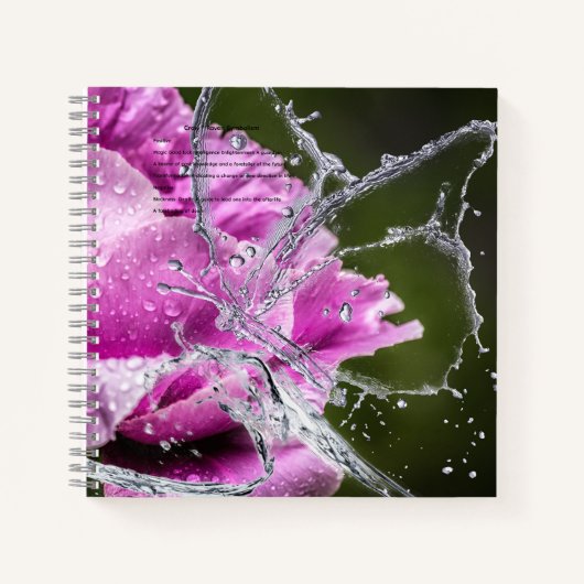 バタフライハードカバー ノートブック (正面)