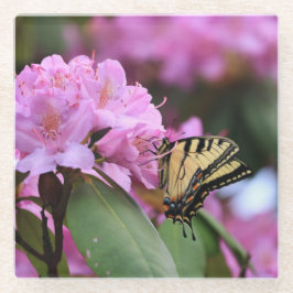 バタフライパラダイス ガラスコースター