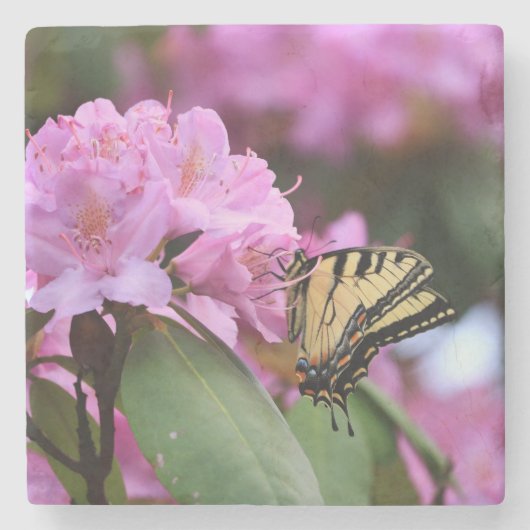 バタフライパラダイス ストーンコースター (正面)