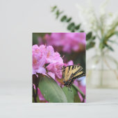 バタフライパラダイス ポストカード (スタンド正面)