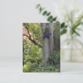 バタフライパーク ポストカード (スタンド正面)