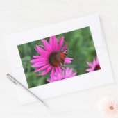 バタフライパーチ 長方形シール (封筒)