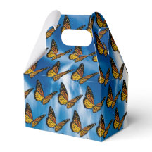 バタフライビーフボックス