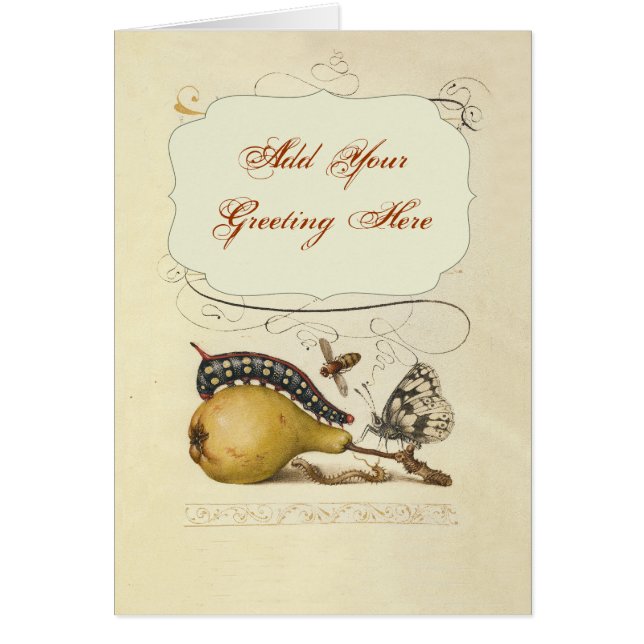 バタフライビー果実昆虫イラストレーション (正面)