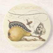 バタフライビー果実昆虫イラストレーション コースター (正面)