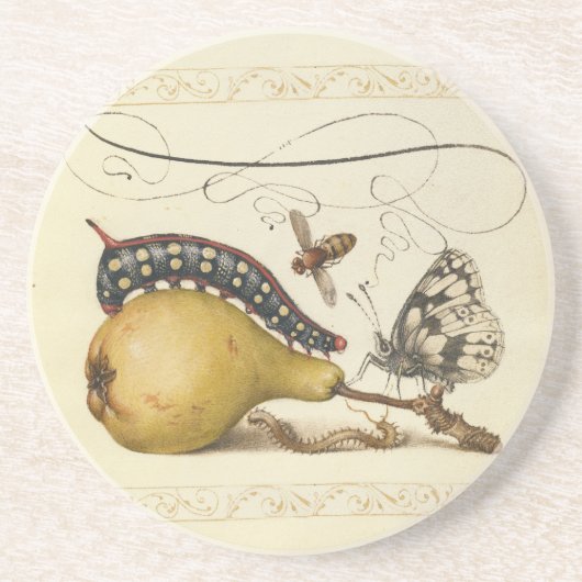バタフライビー果実昆虫イラストレーション コースター (正面)