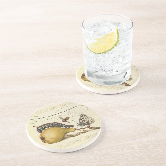 バタフライビー果実昆虫イラストレーション コースター (側面)