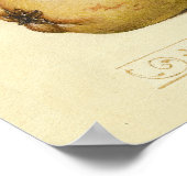 バタフライビー果実昆虫イラストレーション ポスター (角)