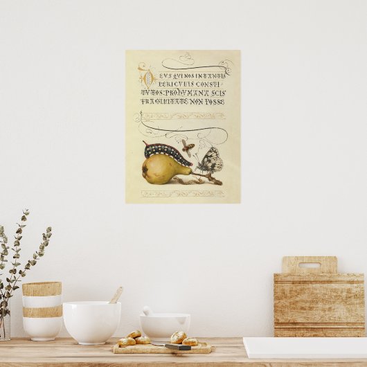 バタフライビー果実昆虫イラストレーション ポスター (キッチン)