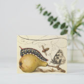 バタフライビー果実昆虫イラストレーション ポストカード (スタンド正面)