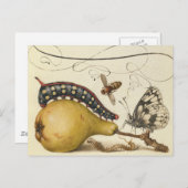 バタフライビー果実昆虫イラストレーション ポストカード (正面/裏面)