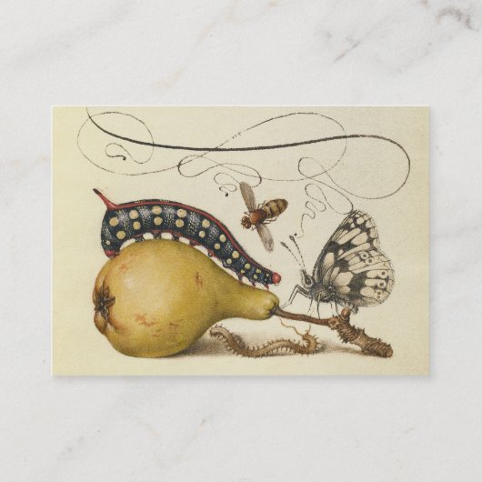 バタフライビー果実昆虫イラストレーション 名刺 (裏面)