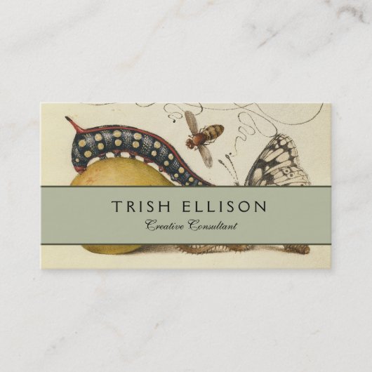 バタフライビー果実昆虫イラストレーション 名刺 (正面)