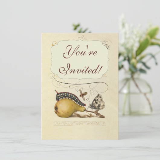 バタフライビー果実昆虫イラストレーション 招待状 (スタンド正面)