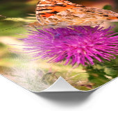 バタフライフォトフォトプリント、ピンクトーン フォトプリント            (角)